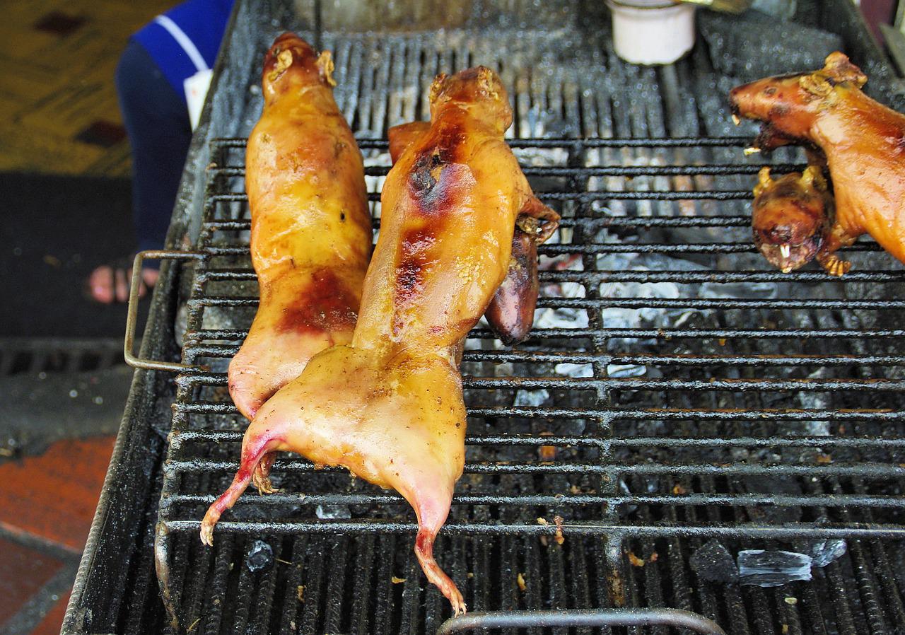 Cuy guinea pig clearance food